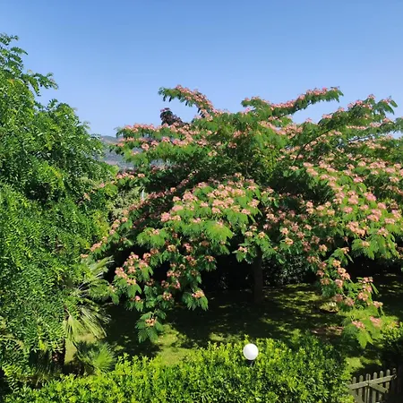 I Salici Apartment *