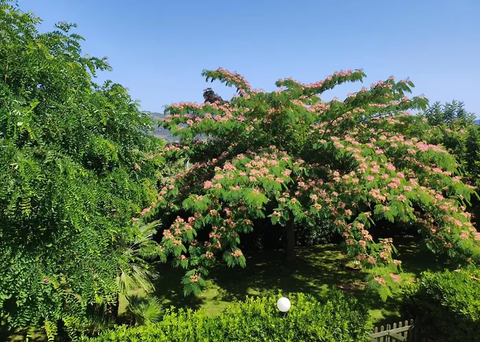 I Salici Appartement *